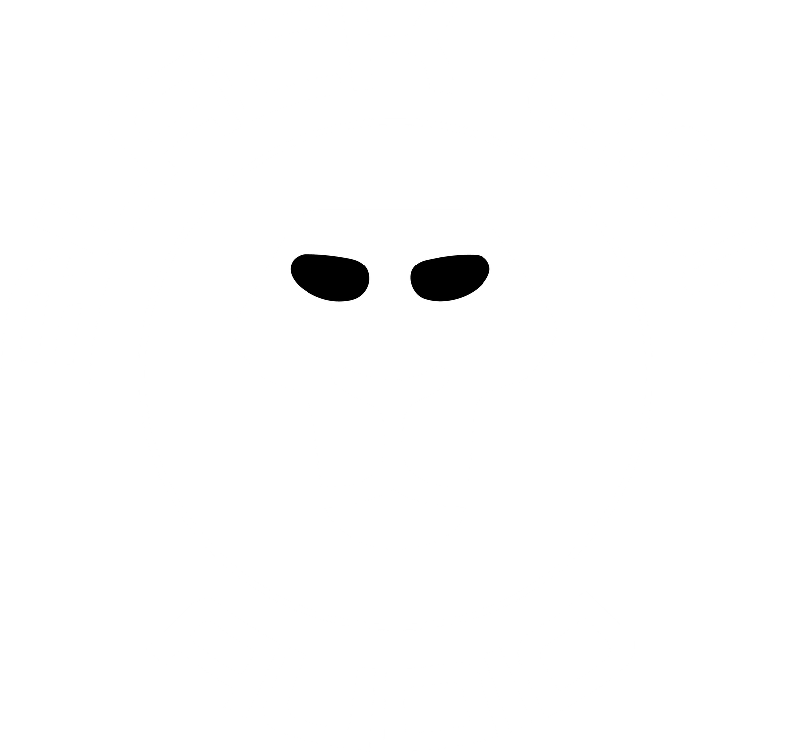 Black Lion Audio